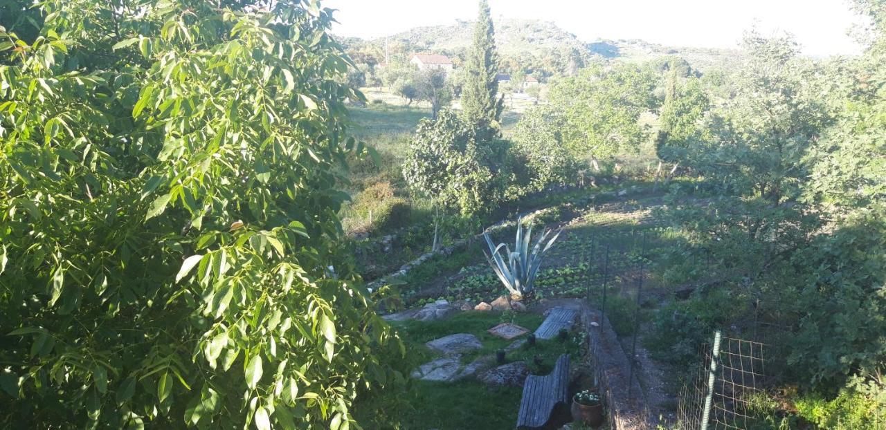 Casa Da Vizinha, Quinta Das Memorias Santo António das Areias 外观 照片
