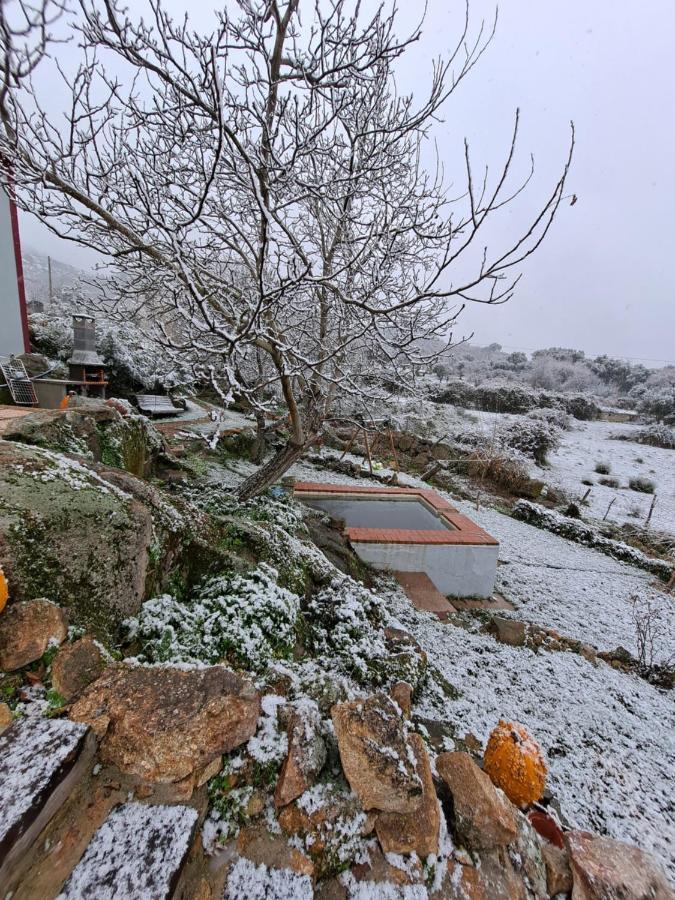Casa Da Vizinha, Quinta Das Memorias Santo António das Areias 外观 照片