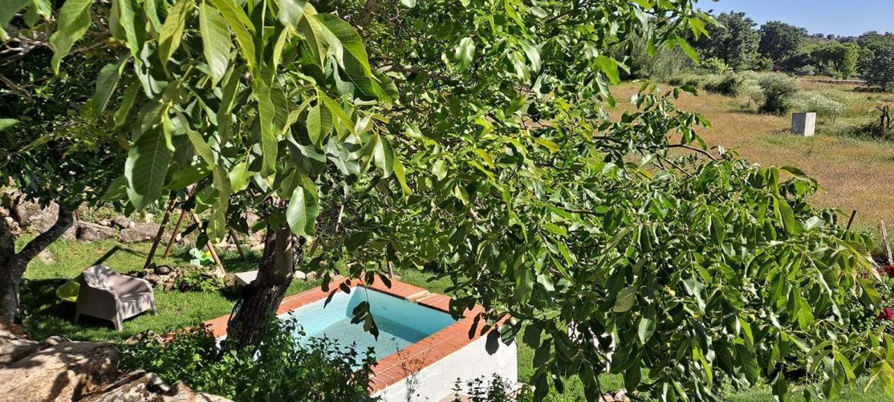 Casa Da Vizinha, Quinta Das Memorias Santo António das Areias 外观 照片